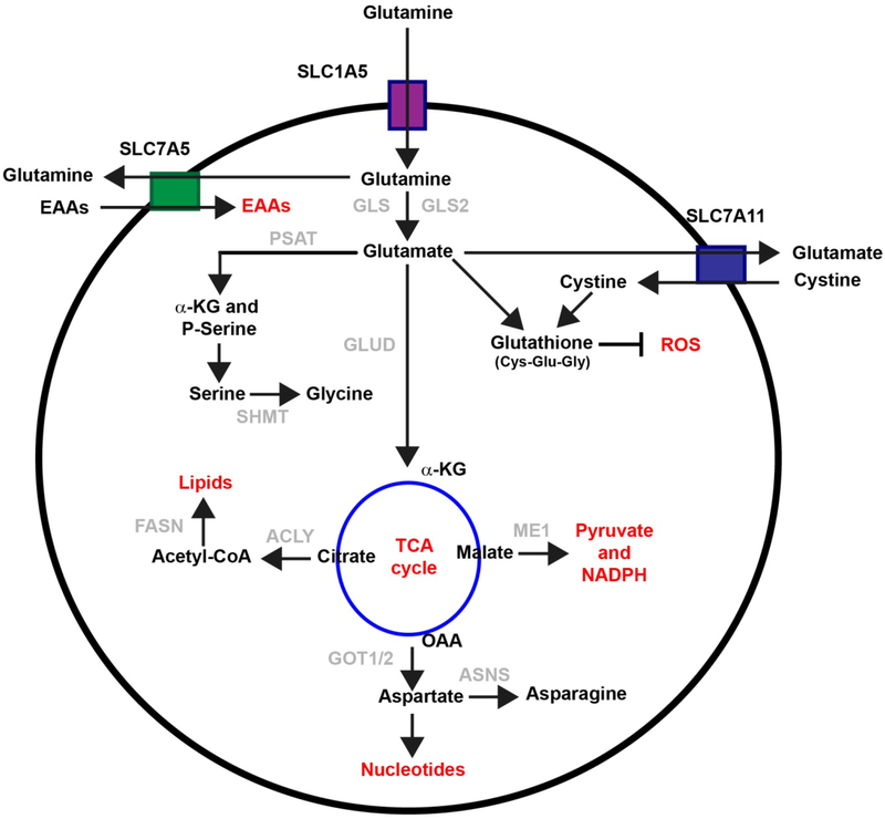 Figure 1: