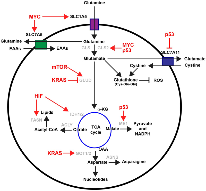 Figure 2: