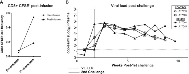 Figure 6