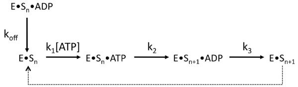 Scheme 3