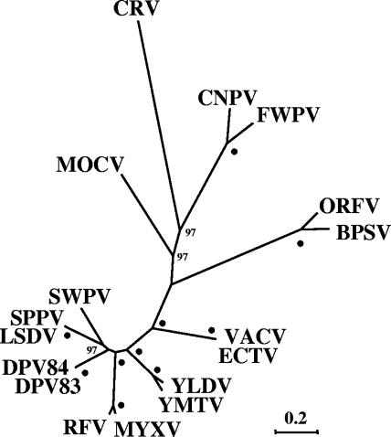 FIG. 5.