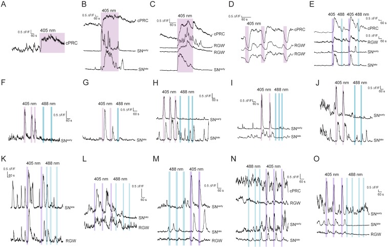 Figure 2—figure supplement 2.