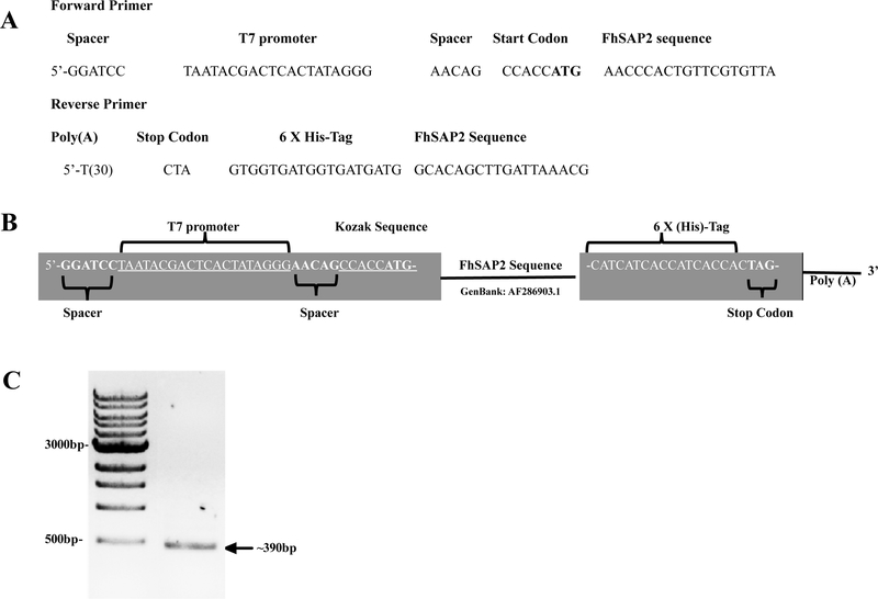 Figure-1.