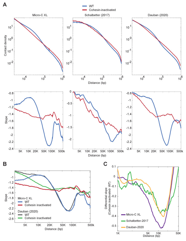 Figure 2—figure supplement 2.