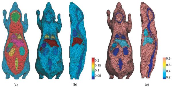 Digimouse: a 3D whole body mouse atlas from CT and cryosection data - PMC