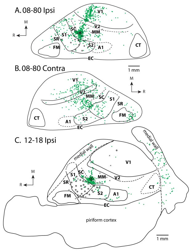 Figure 9