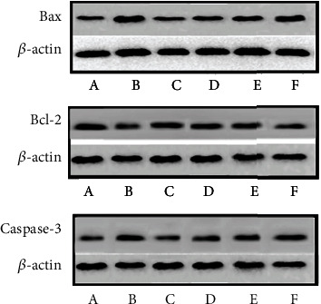 Figure 24