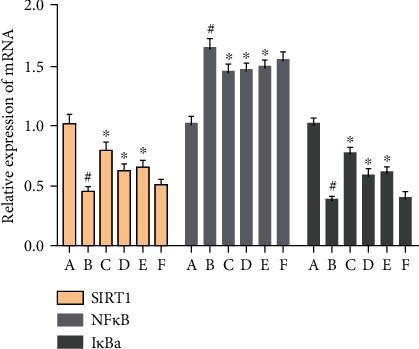 Figure 20