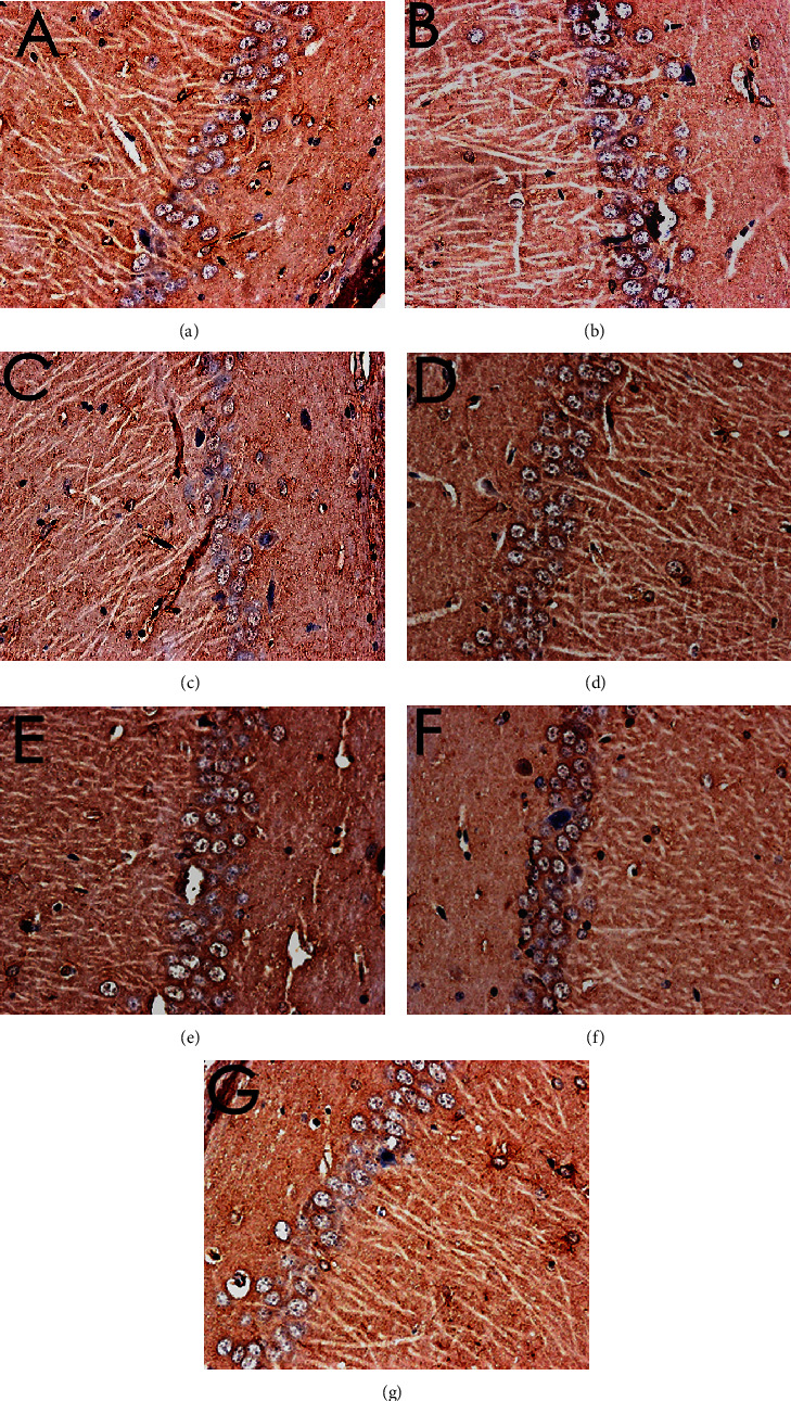 Figure 17