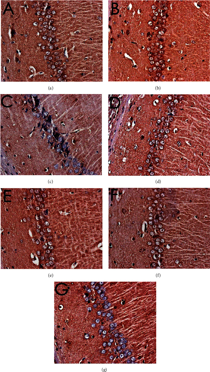 Figure 14