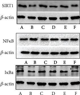 Figure 22