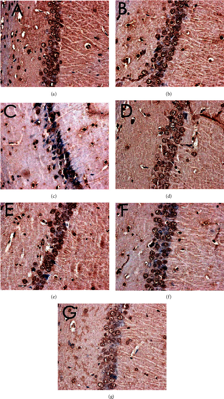 Figure 12