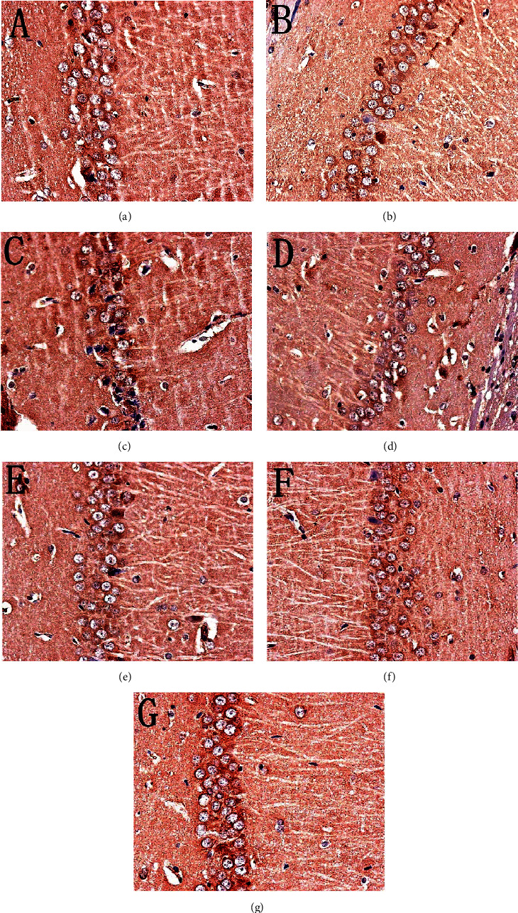 Figure 18