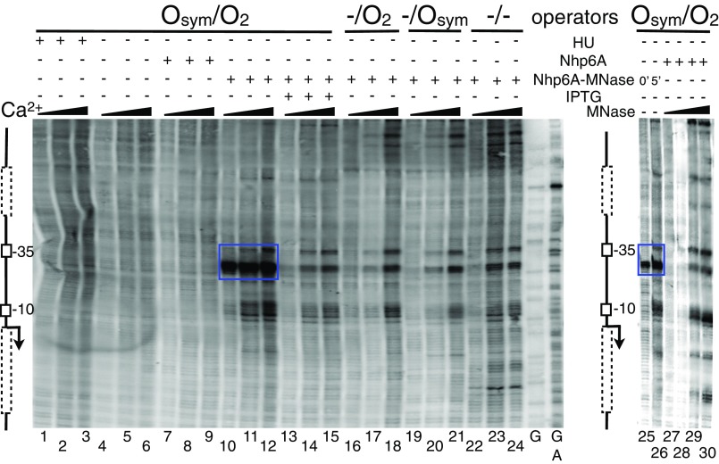 Fig. 3.