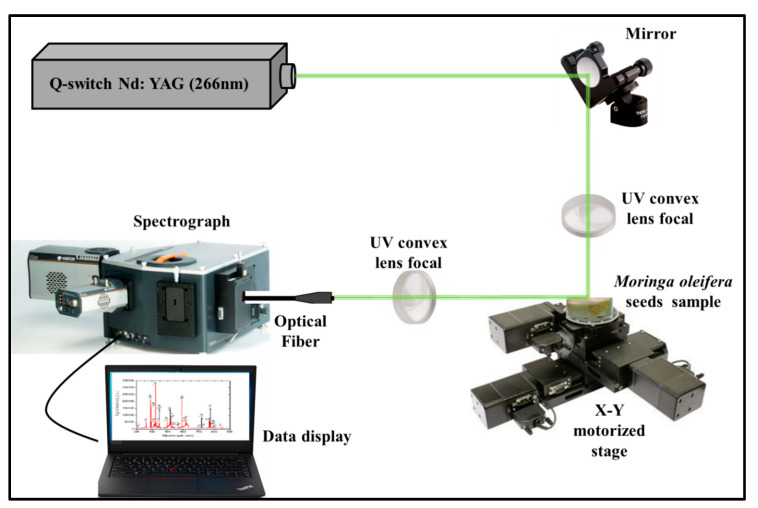 Figure 10