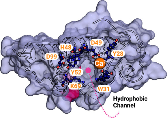 Figure 10