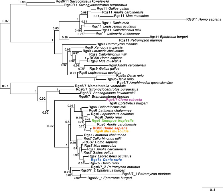 Fig. 4