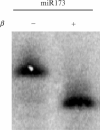 Figure 8.3