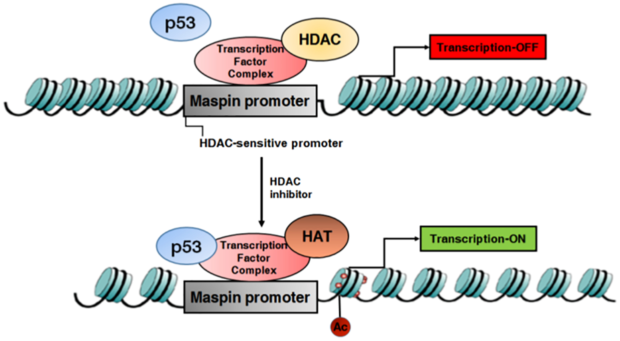 Figure 7: