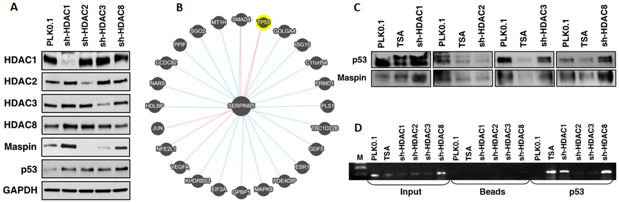 Figure 5: