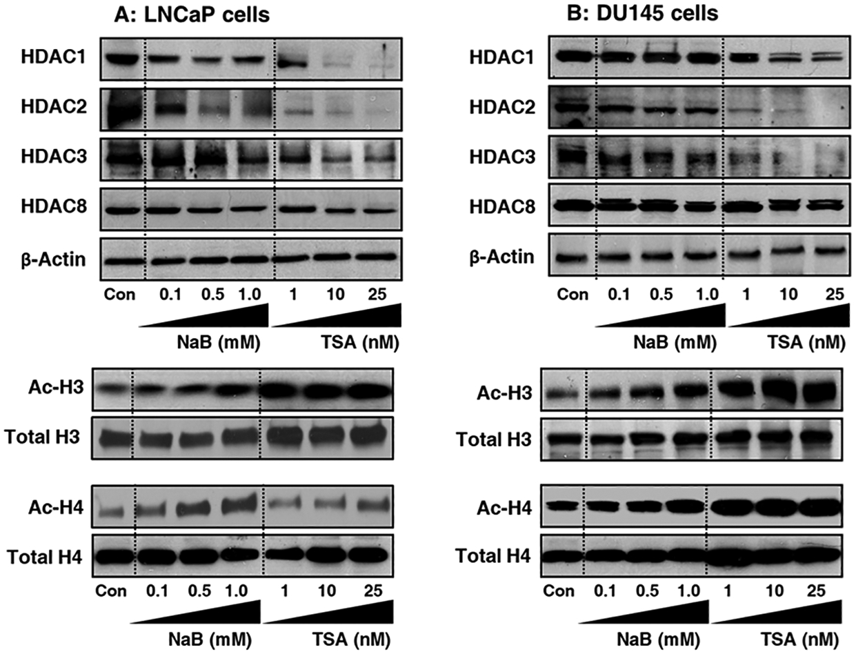 Figure 4: