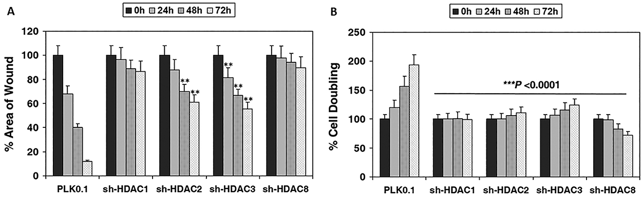 Figure 6: