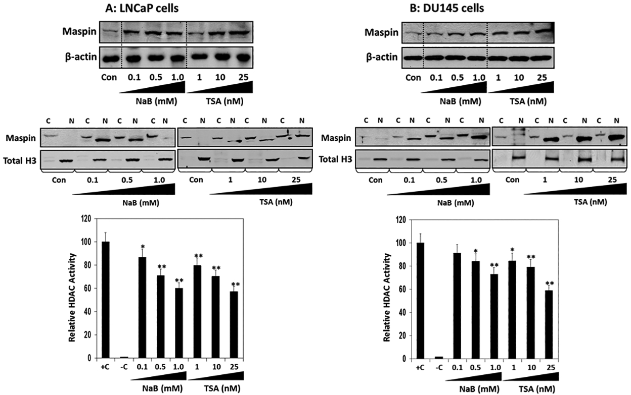 Figure 3: