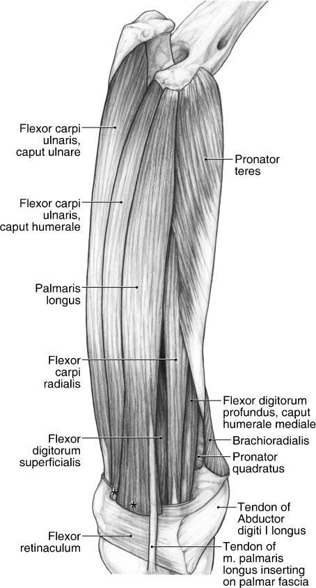 Fig. 11