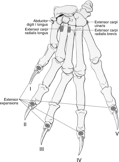 Fig. 9