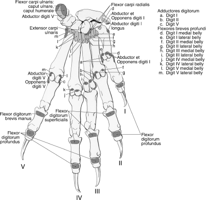 Fig. 13