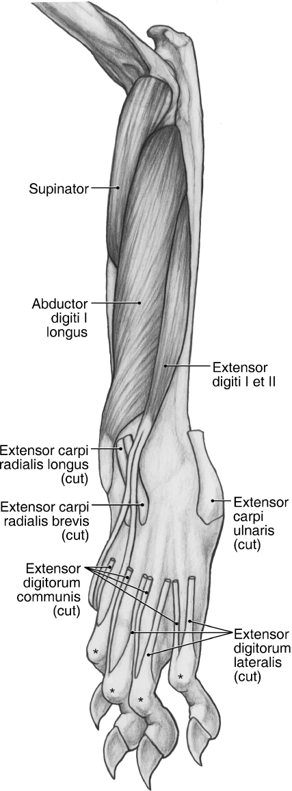 Fig. 10