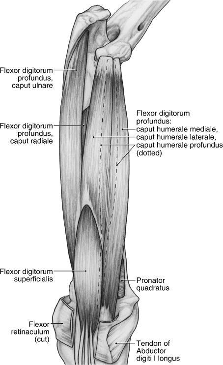 Fig. 14