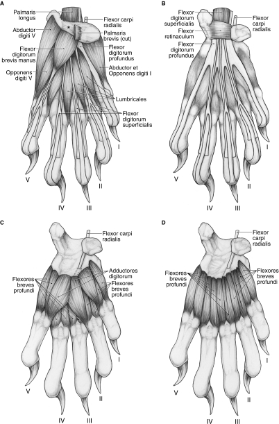 Fig. 15