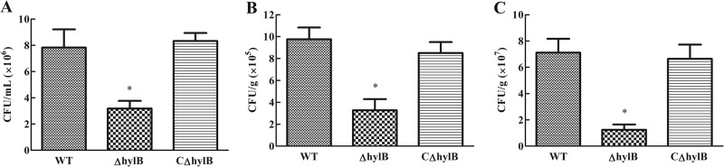 FIG 4