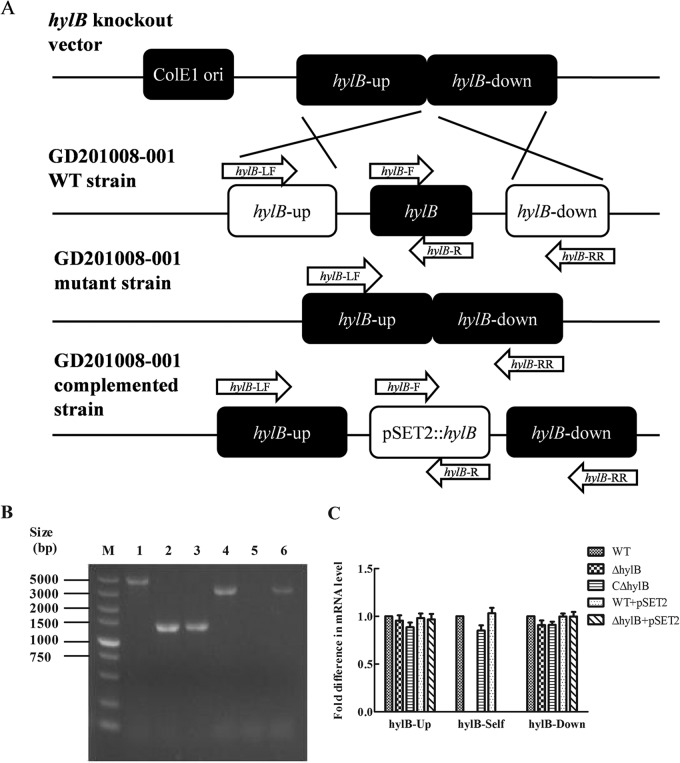 FIG 1