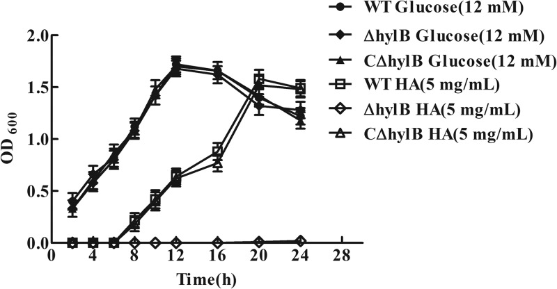 FIG 2