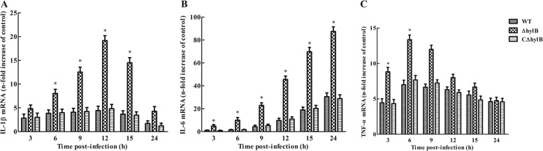 FIG 7