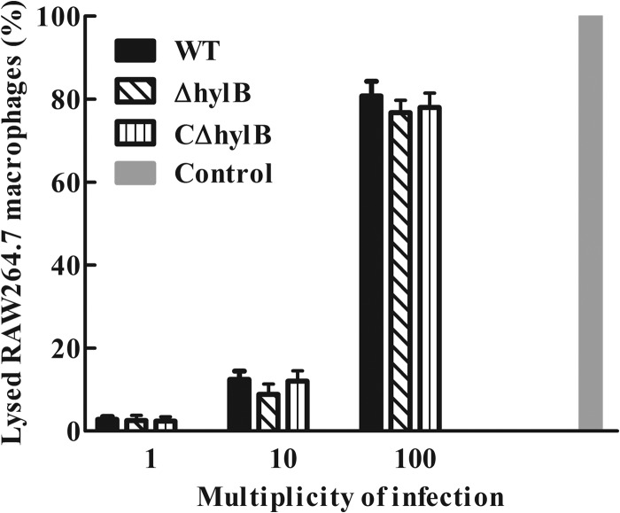 FIG 6