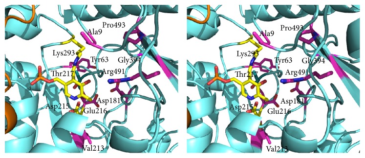 Figure 7