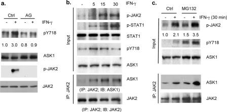 FIGURE 2.