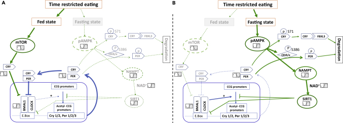 Figure 2