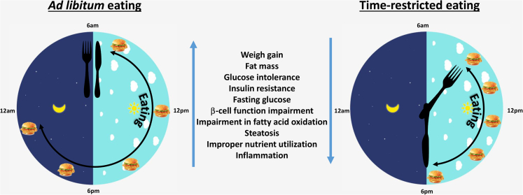 Figure 1