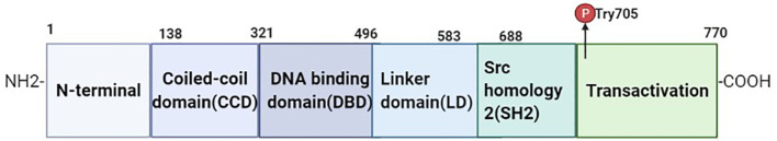 Figure 2