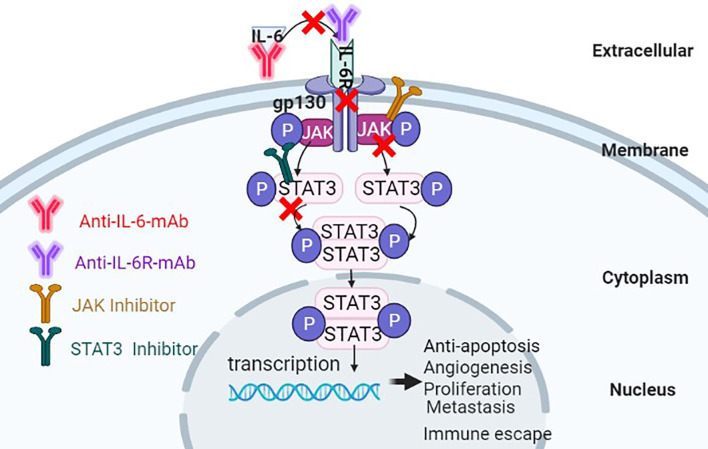 Figure 5