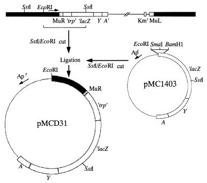 FIG. 1