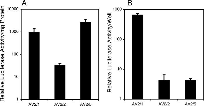 FIGURE 2