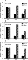 FIGURE 3
