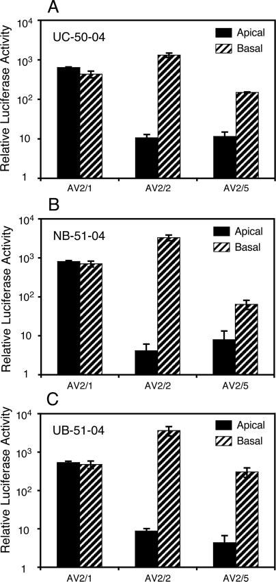 FIGURE 3