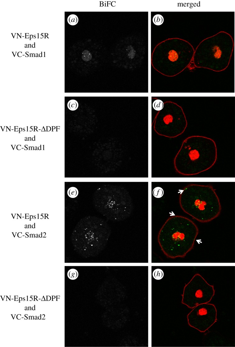 Figure 4.