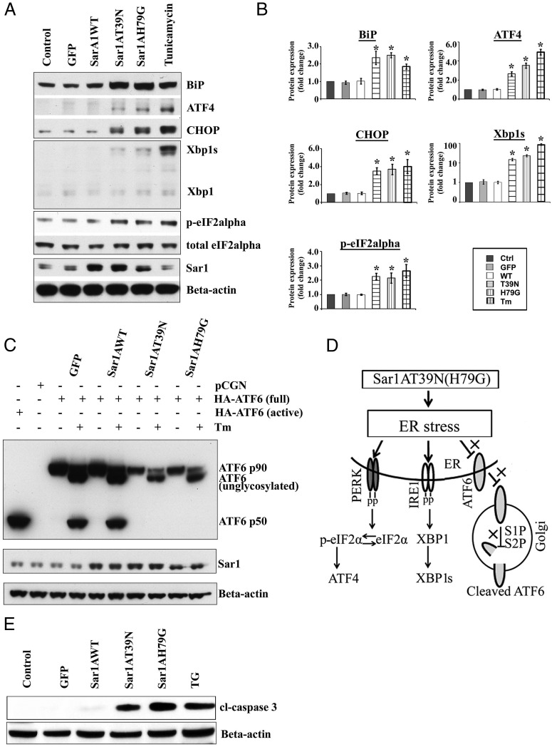 Figure 7.